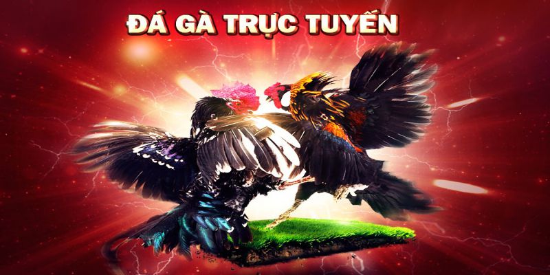 Nhà cái Daga888 có đội ngũ nhân viên CSKH chuyên nghiệp